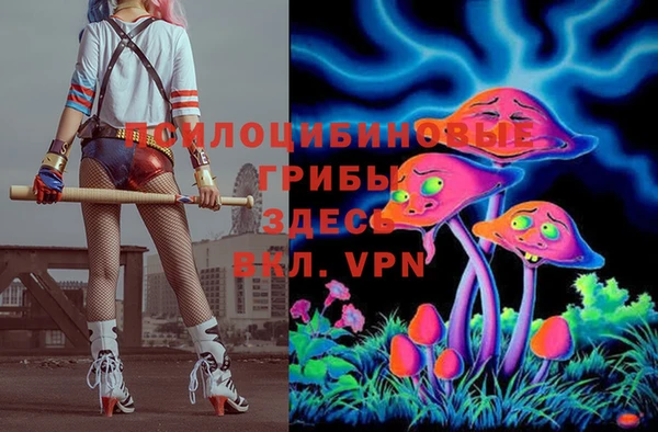 круглые Богданович