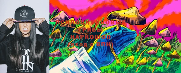гидропоника Богородск